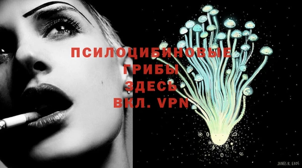 твердый Кукмор