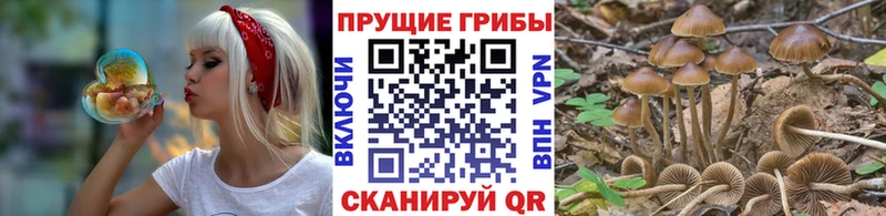 mega сайт как найти закладки Медвежьегорск сайты даркнета состав Псилоцибиновые грибы мухоморы